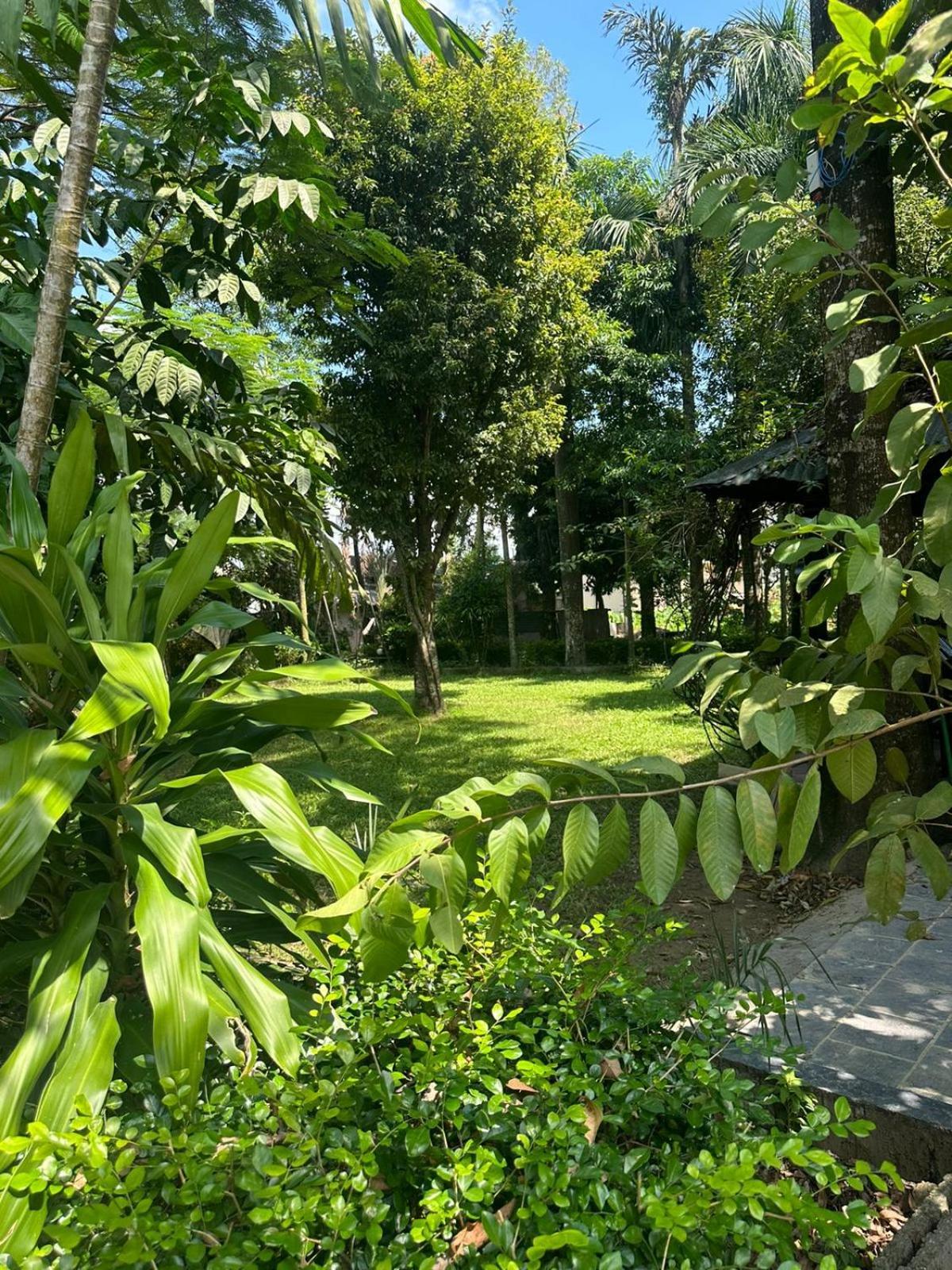 Hotel Parkside & Swimming Pool-Between Greenery And Azure ,Your Perfect Retreat Chitwan Extérieur photo